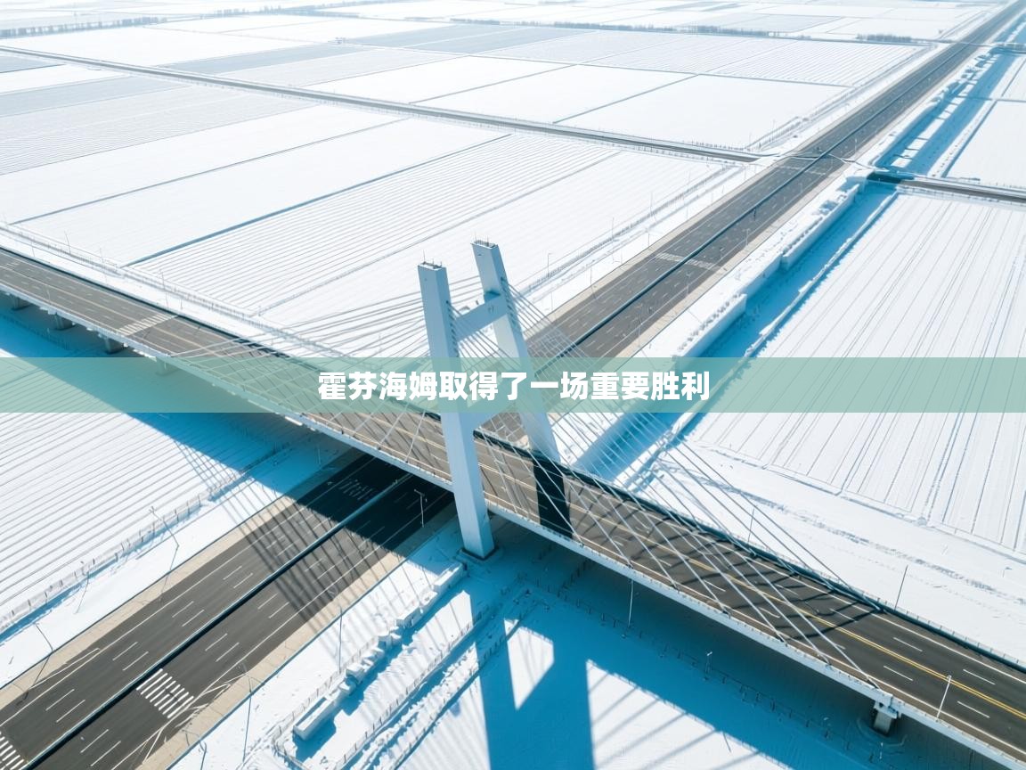 霍芬海姆取得了一场重要胜利  第2张