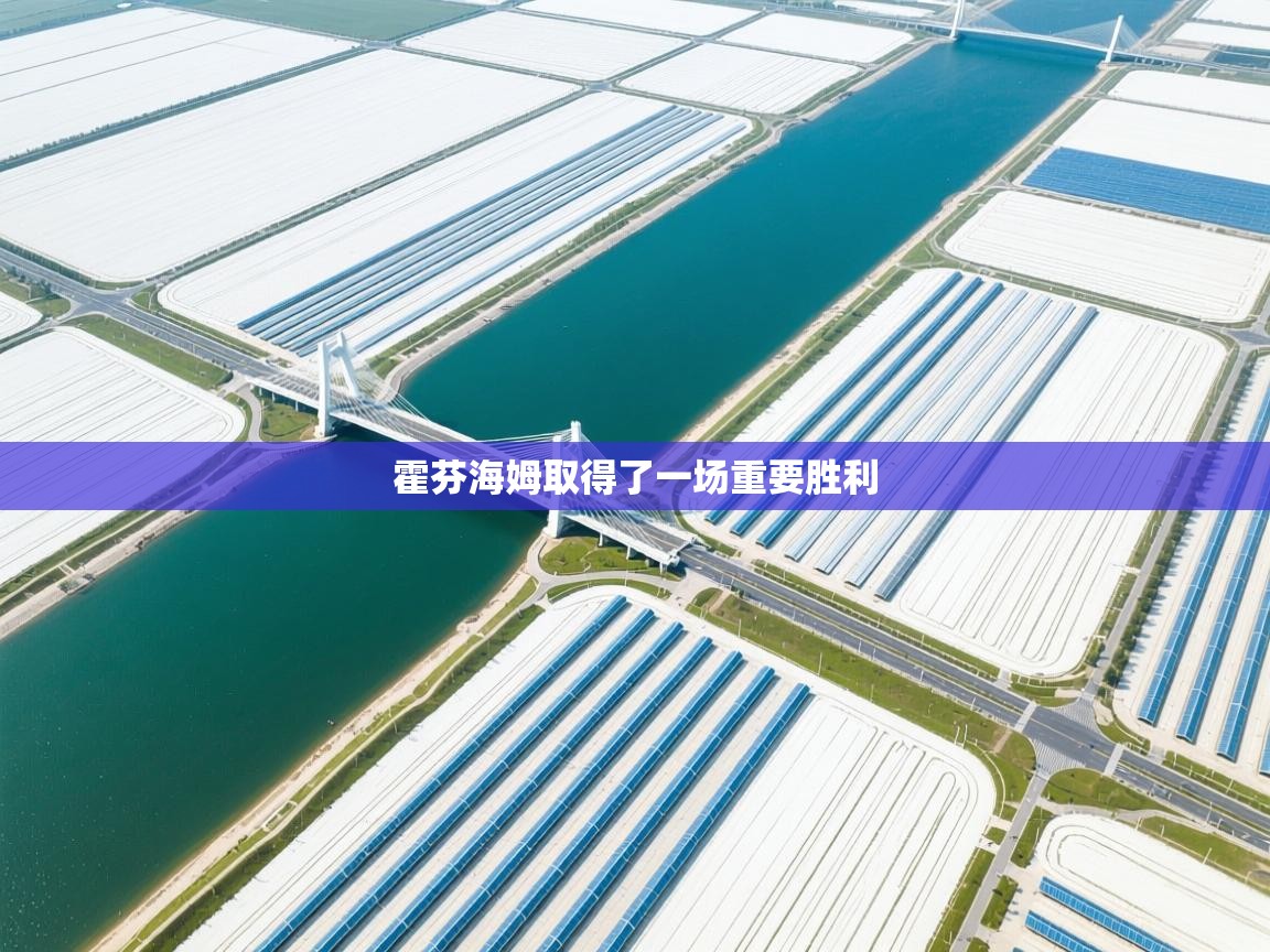 霍芬海姆取得了一场重要胜利  第1张