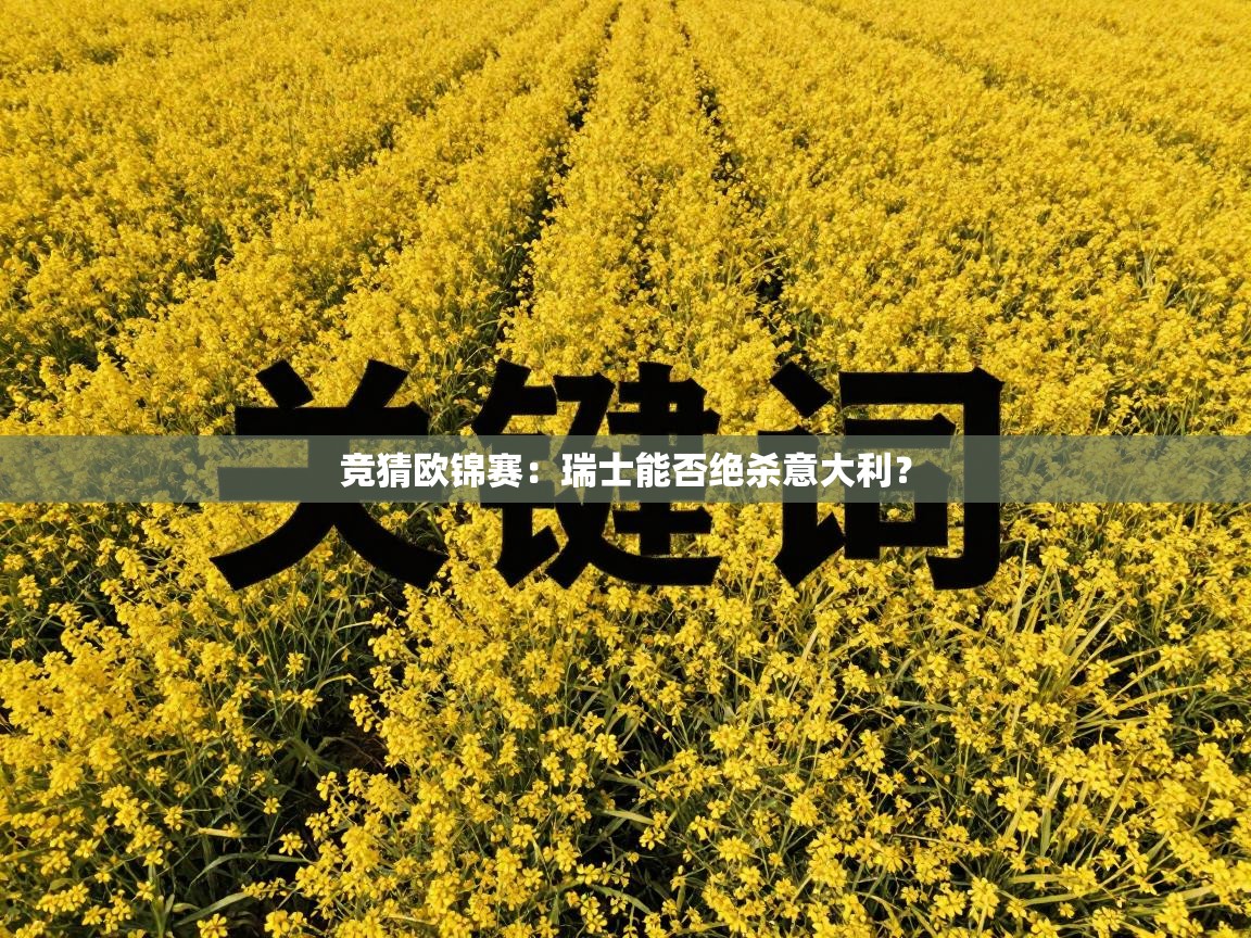 竞猜欧锦赛:瑞士能否绝杀意大利? 第1张