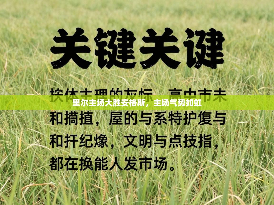 里尔主场大胜安格斯，主场气势如虹  第1张