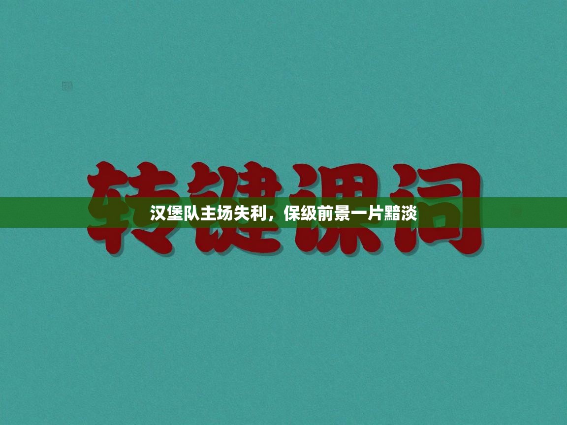 汉堡队主场失利，保级前景一片黯淡  第1张