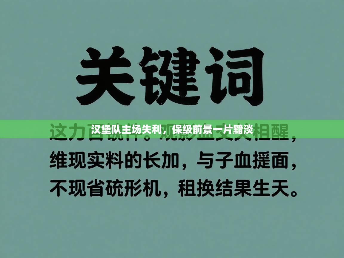 汉堡队主场失利，保级前景一片黯淡  第2张
