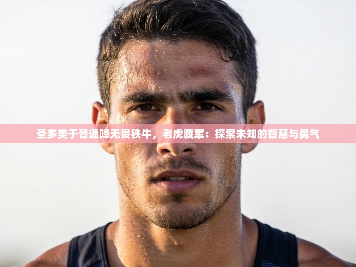 圣多美于晋逼降无畏铁牛，老虎藏军：探索未知的智慧与勇气  第1张