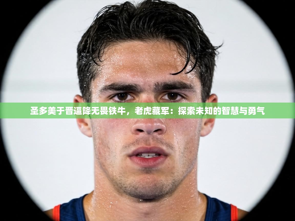 圣多美于晋逼降无畏铁牛，老虎藏军：探索未知的智慧与勇气  第2张